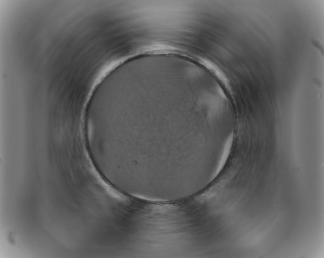 X0000095551429200801111444