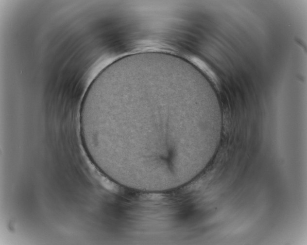 X0000095551431200801111444