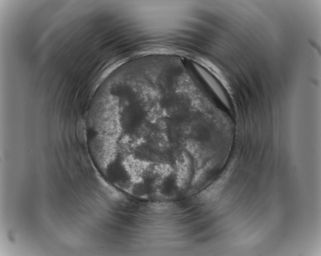 X0000095551433200801111444