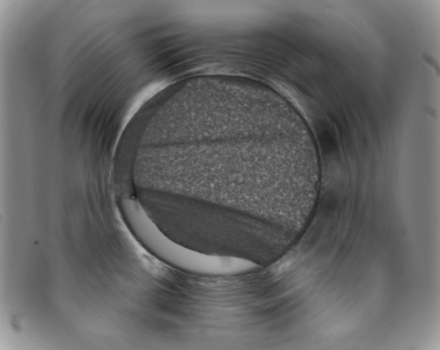 X0000095551434200801111444