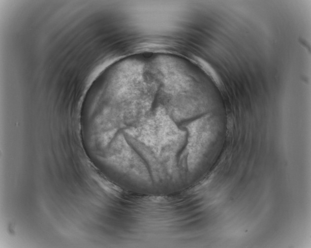 X0000095551435200801111444