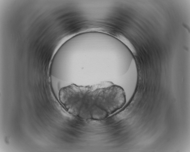 X0000095551436200801111444