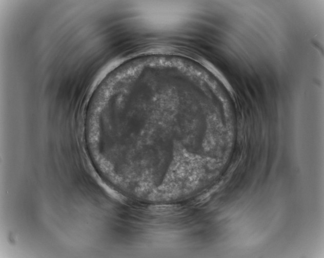 X0000095551437200801111444