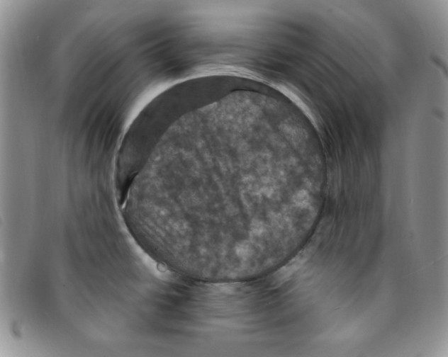 X0000095551438200801111444