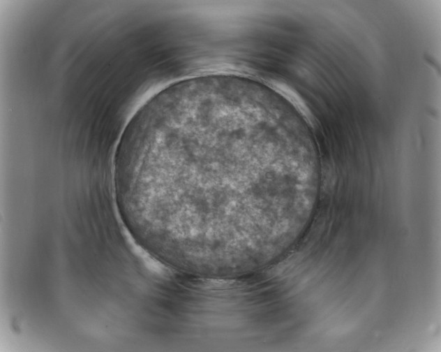 X0000095551439200801111444