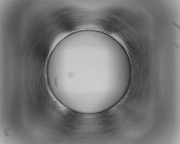 X0000095551440200801111444