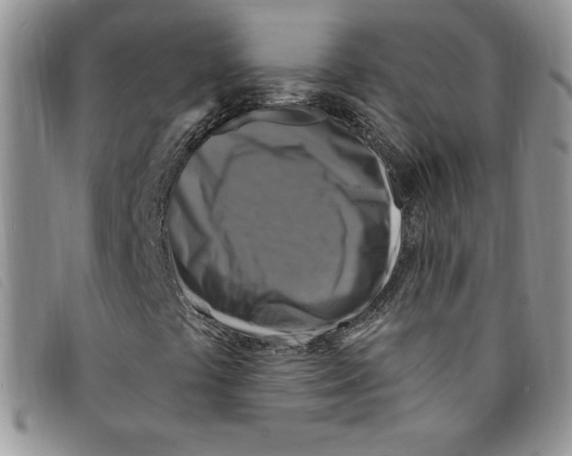 X0000095551441200801111443