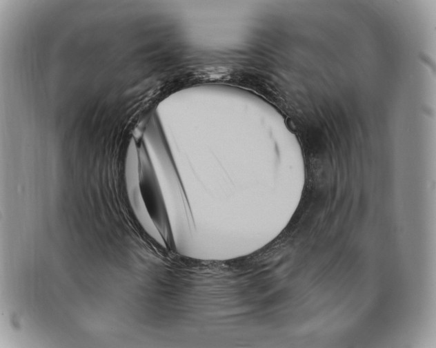 X0000095551442200801111443