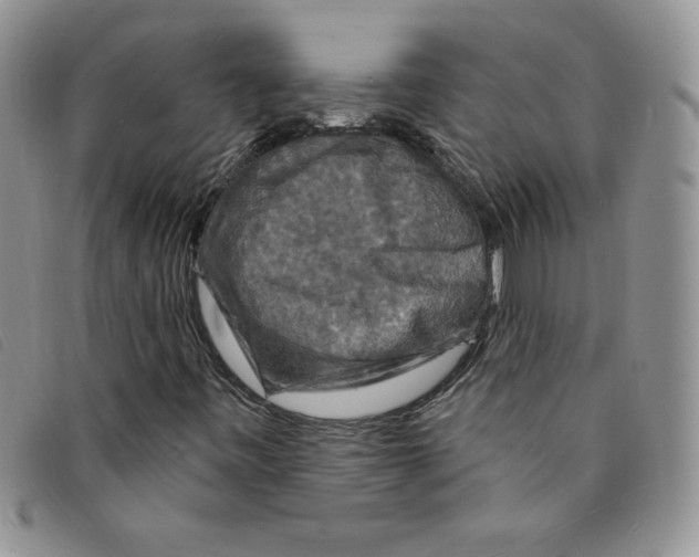 X0000095551443200801111443