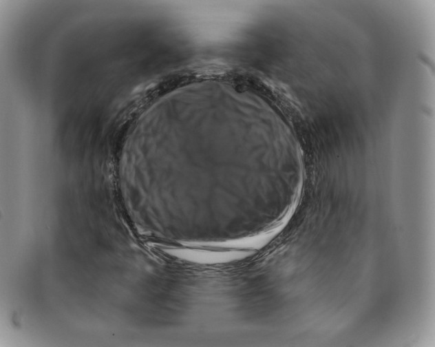 X0000095551445200801111443