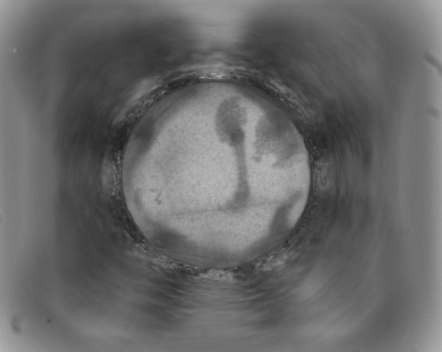 X0000095551446200801111443