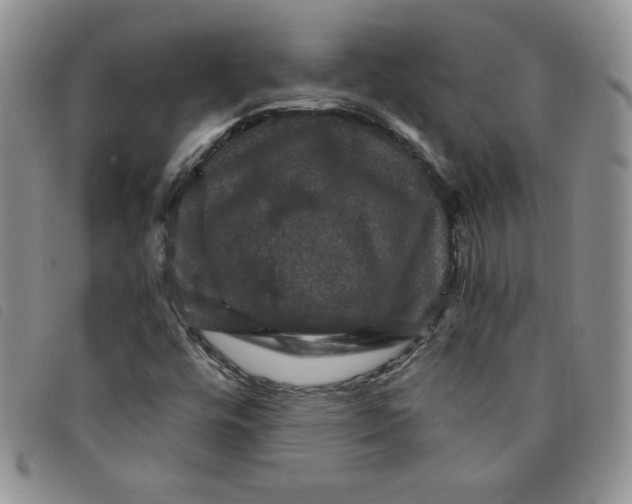 X0000095551448200801111443