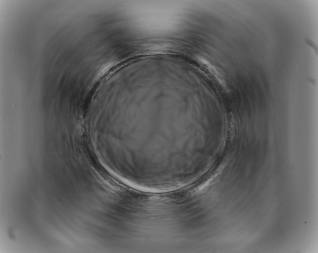 X0000095551449200801111443