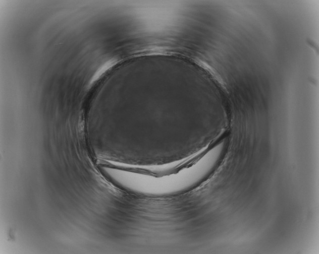 X0000095551450200801111443