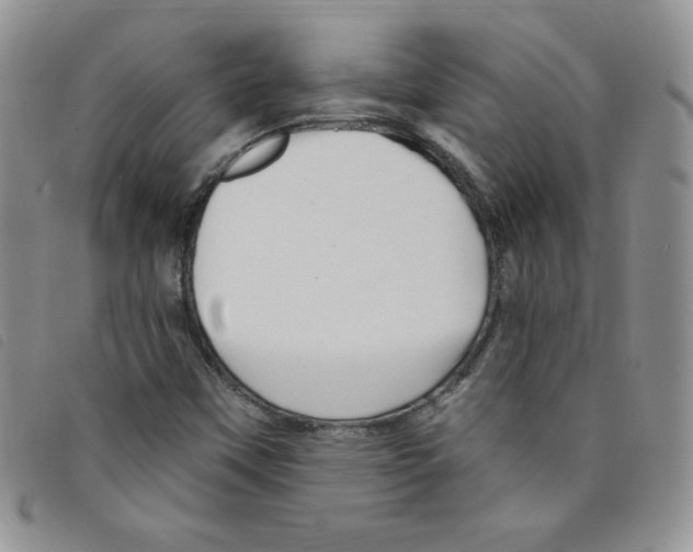 X0000095551451200801111443