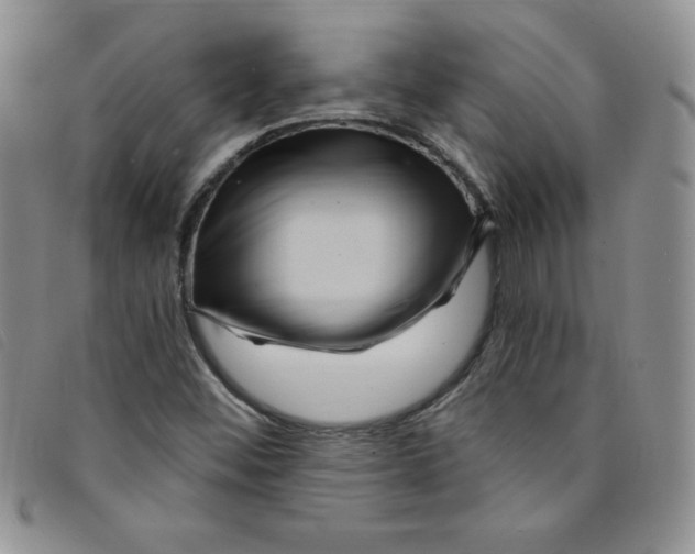 X0000095551452200801111443