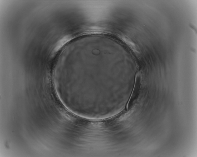 X0000095551453200801111443