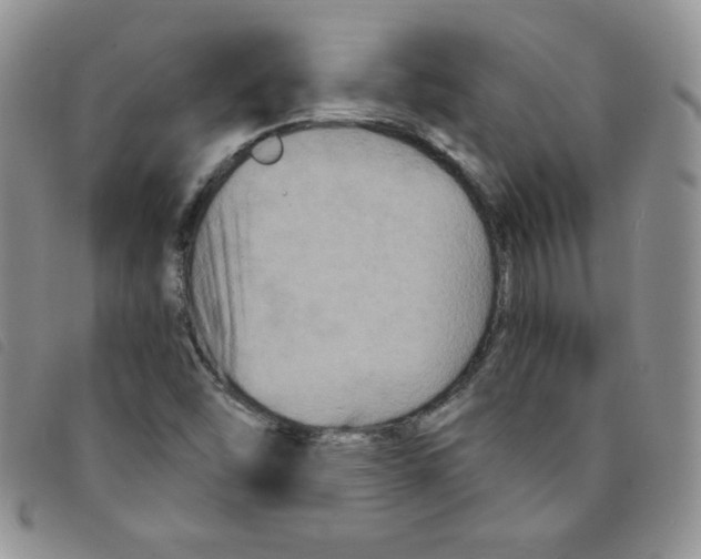 X0000095551454200801111443