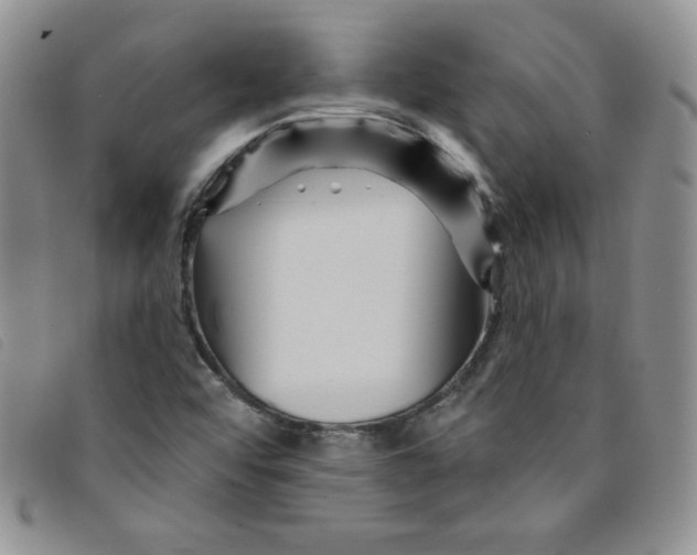 X0000095551456200801111443