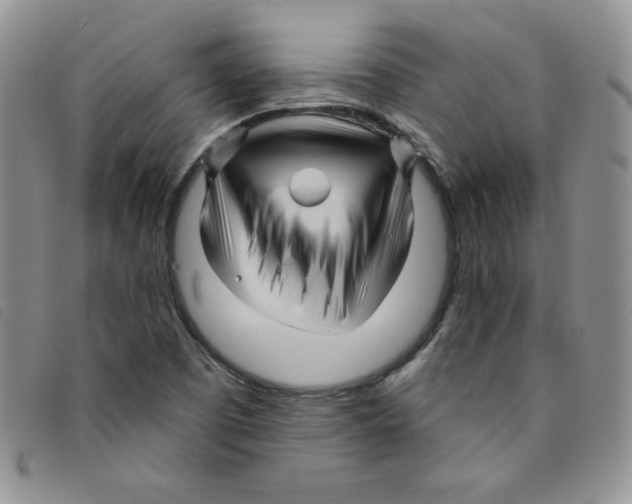 X0000095551457200801111443