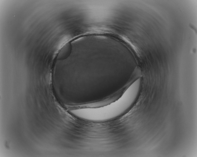 X0000095551459200801111443