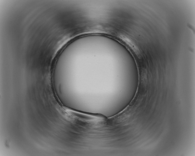 X0000095551460200801111443