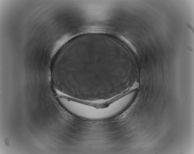 X0000095551461200801111443