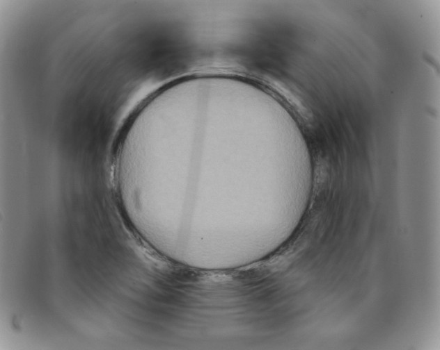 X0000095551462200801111443