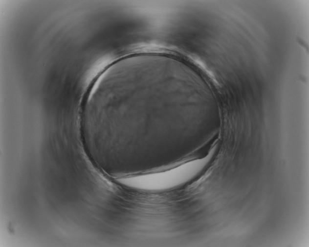 X0000095551463200801111443