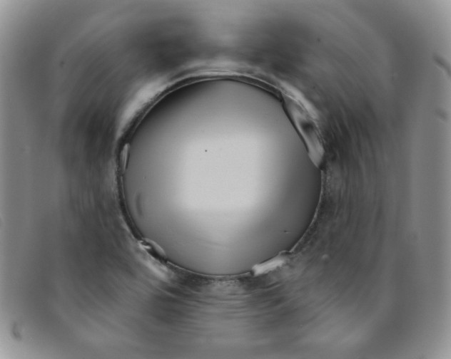 X0000095551464200801111443