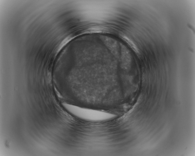 X0000095551465200801111443