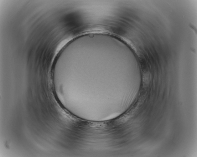 X0000095551466200801111443