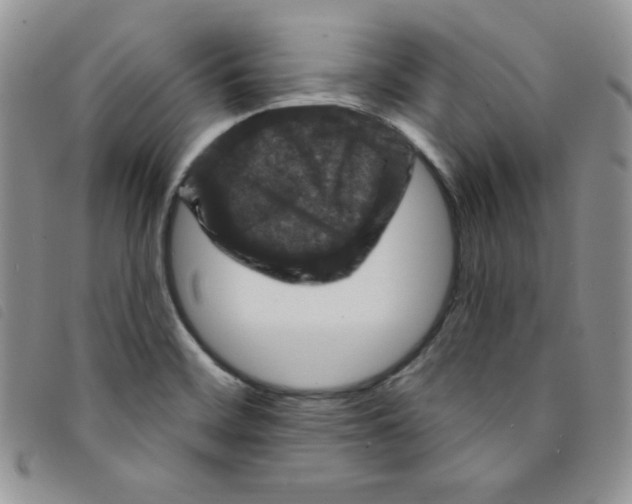 X0000095551468200801111443