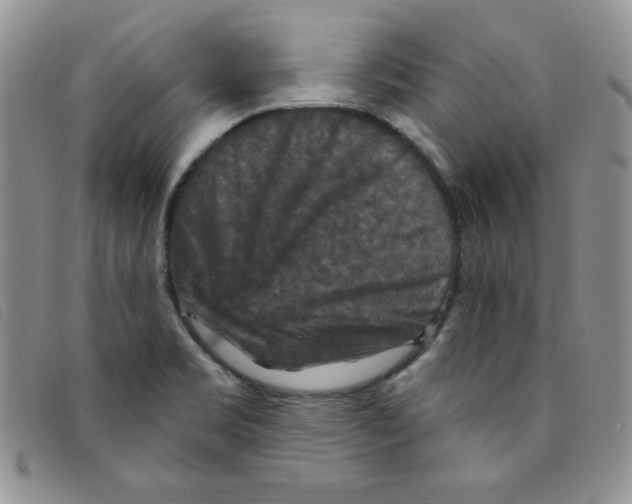 X0000095551469200801111443