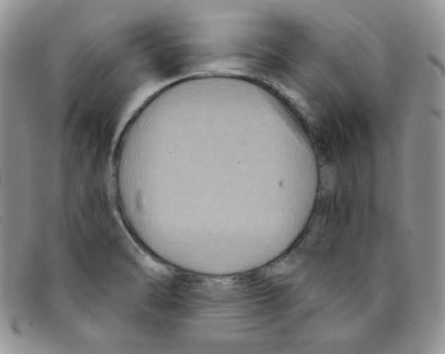 X0000095551470200801111443