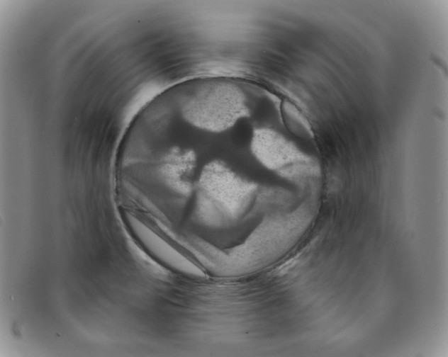 X0000095551471200801111443