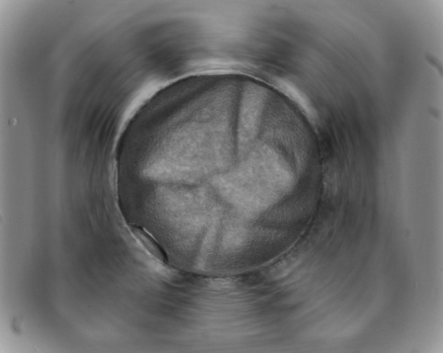 X0000095551472200801111443