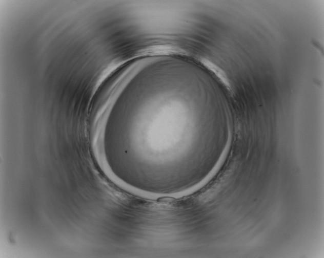 X0000095551473200801111443