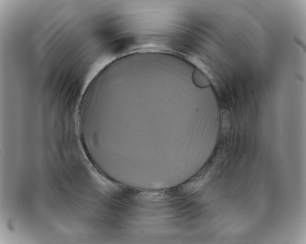 X0000095551474200801111443