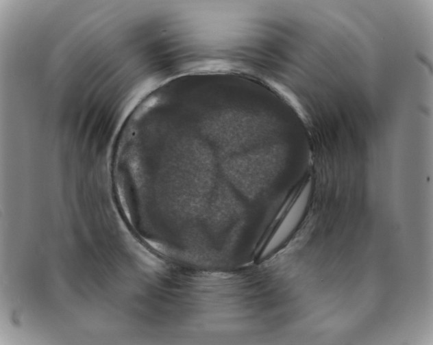 X0000095551475200801111443