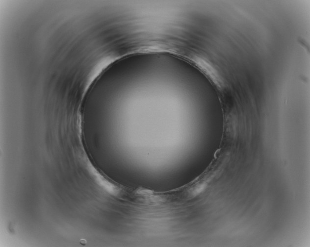 X0000095551476200801111442