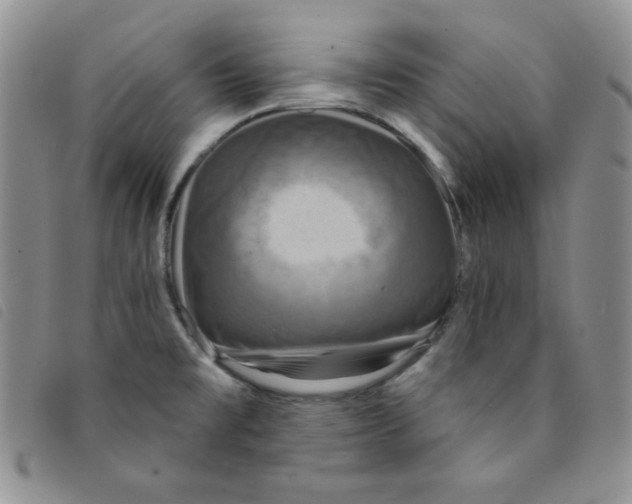 X0000095551477200801111442