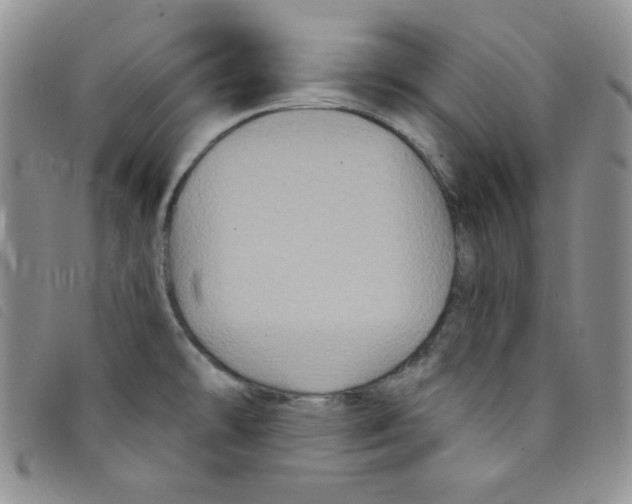 X0000095551478200801111442