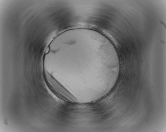 X0000095551479200801111442