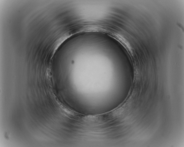 X0000095551481200801111442