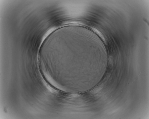 X0000095551482200801111442