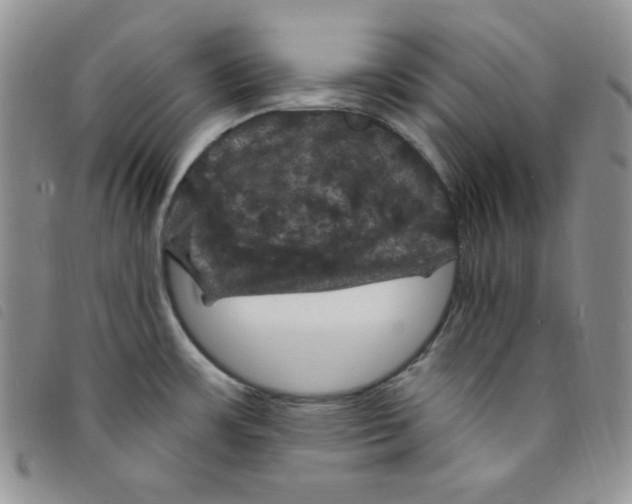 X0000095551483200801111442