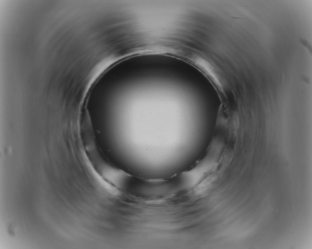 X0000095551484200801111442