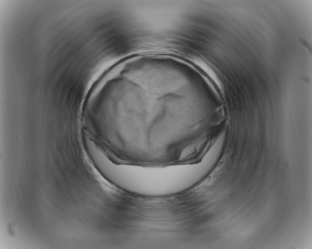 X0000095551485200801111442