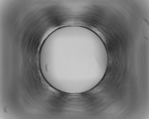 X0000095551486200801111442